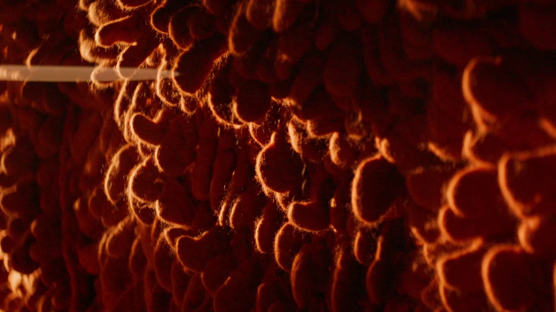 Parede de tricô grosso em laranja e vermelho, com a luz traçando o contorno de cada ponto.