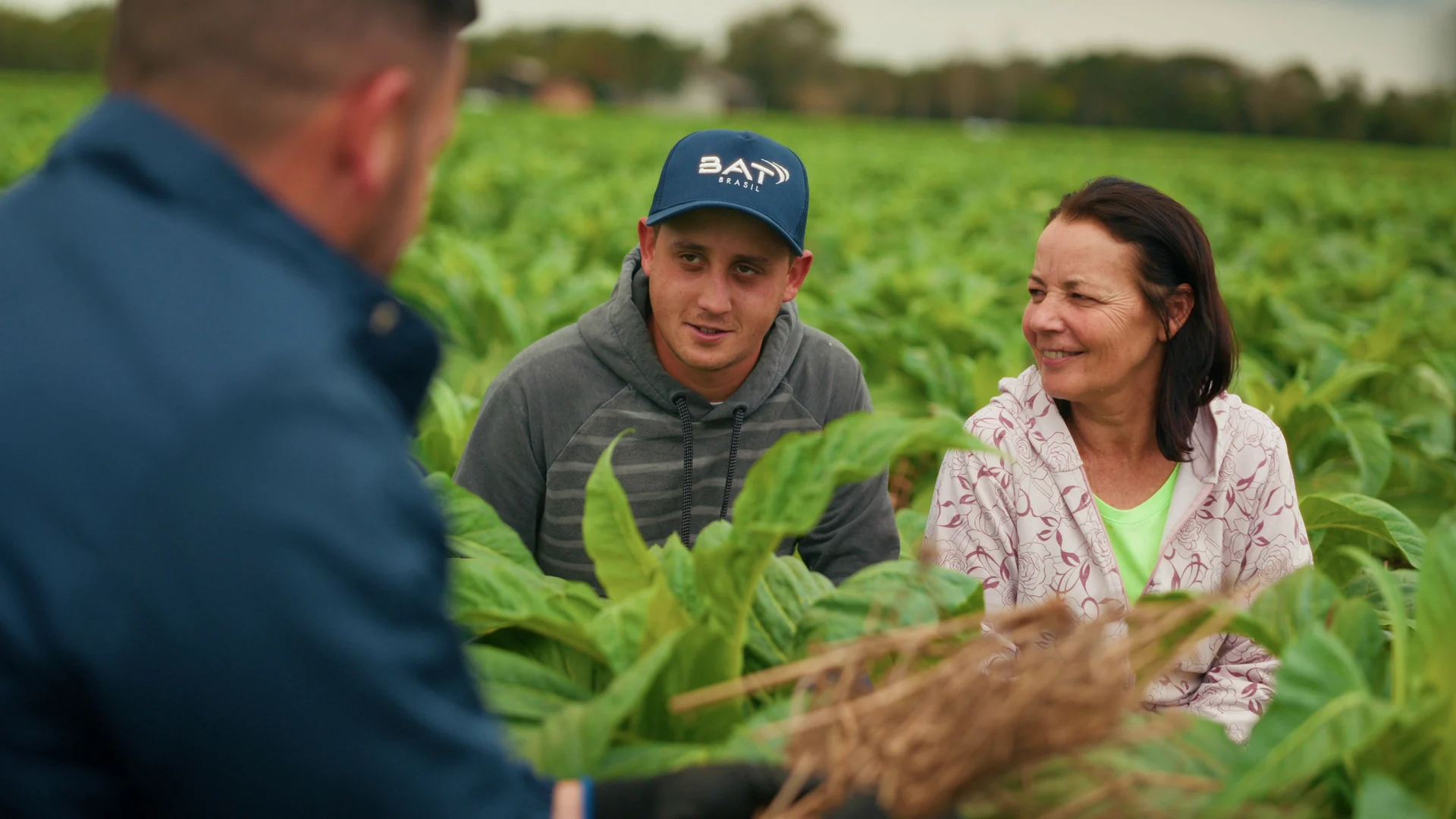 Jovem produtor de boné BAT e uma produtora sorriem entre plantas de tabaco, vistos por cima do ombro de um orientador agrícola.
