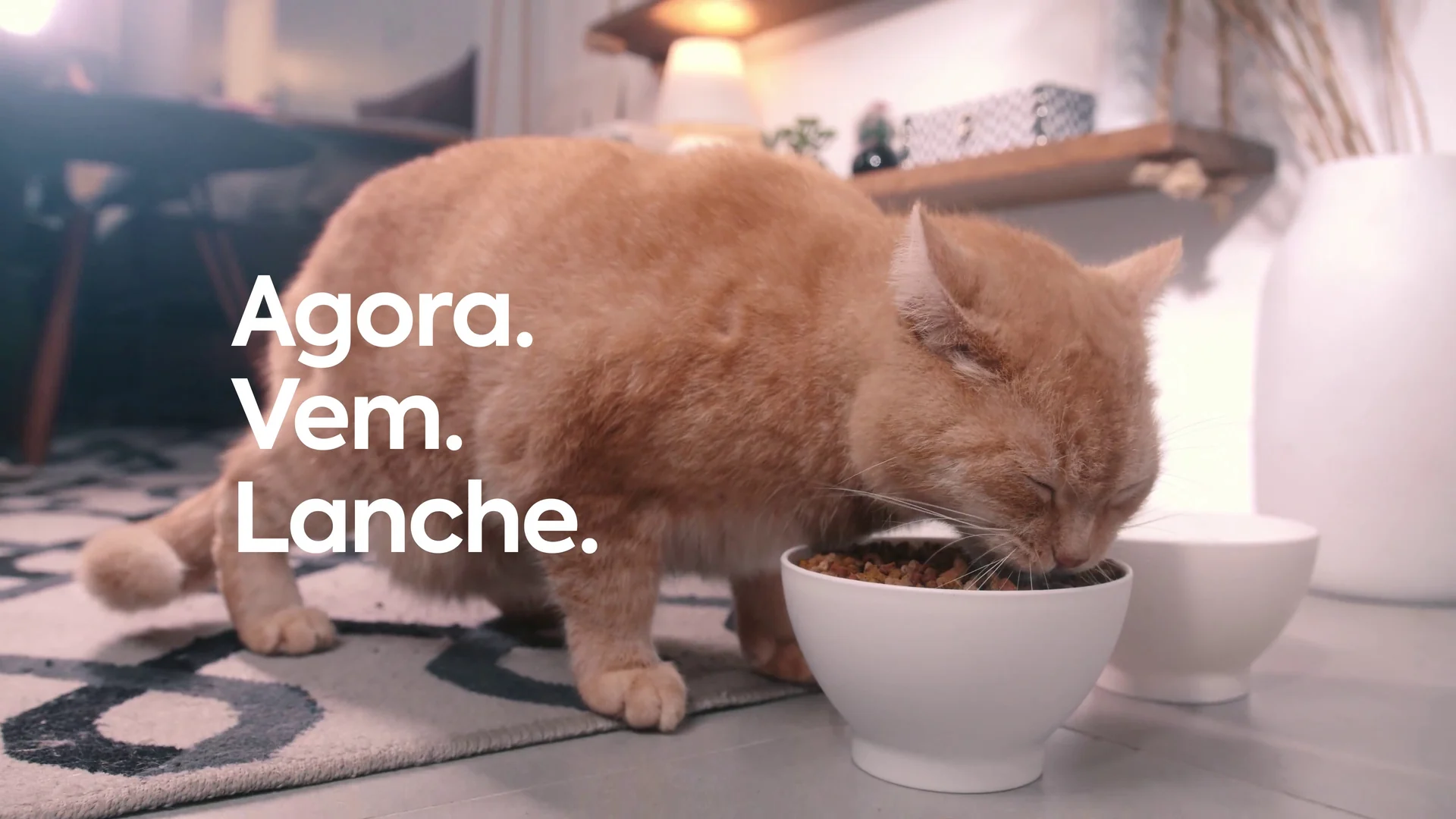Gato laranja come ração em uma tigela branca sobre tapete geométrico, com a cartela Agora. Vem. Lanche.