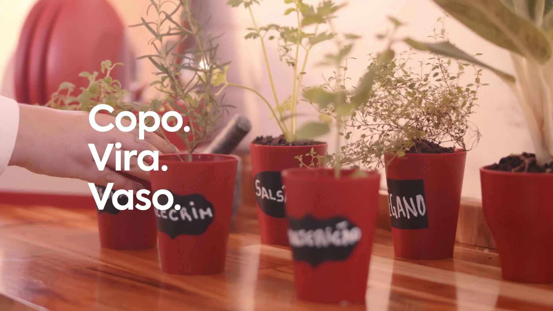 Copos vermelhos com mudas de temperos rotuladas à mão sobre a bancada, com a cartela Copo. Vira. Vaso.