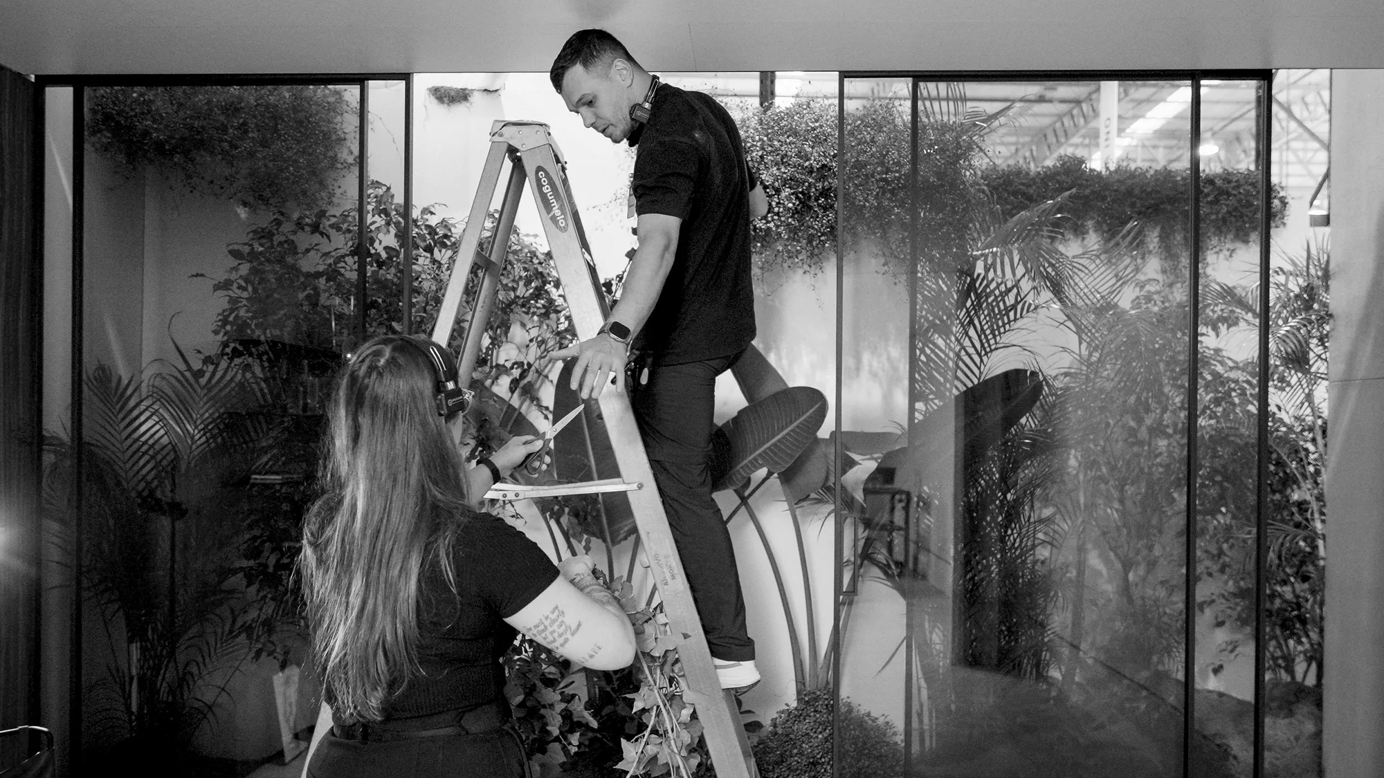 Frame do making of da Stima, 3