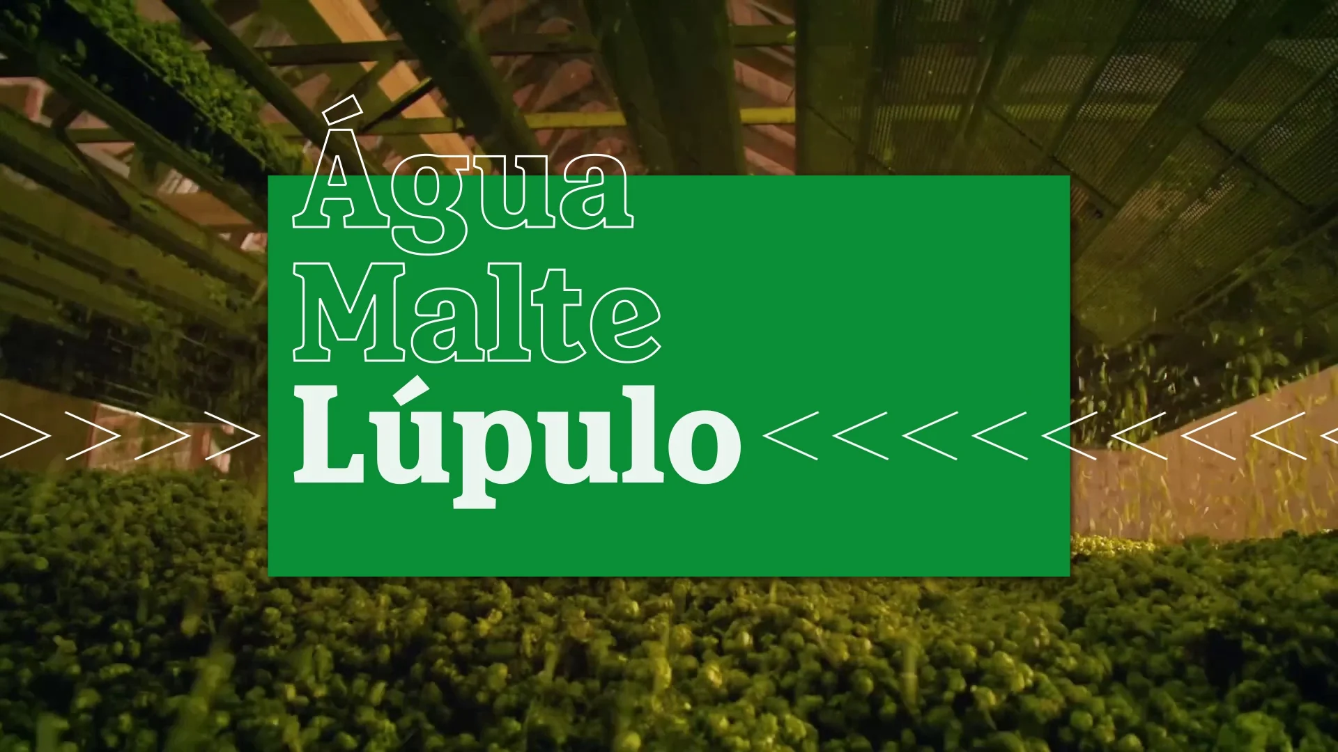 Plantação de lúpulo ao fundo e caixa verde com as palavras "Água, Malte, Lúpulo" em tipografia animada.