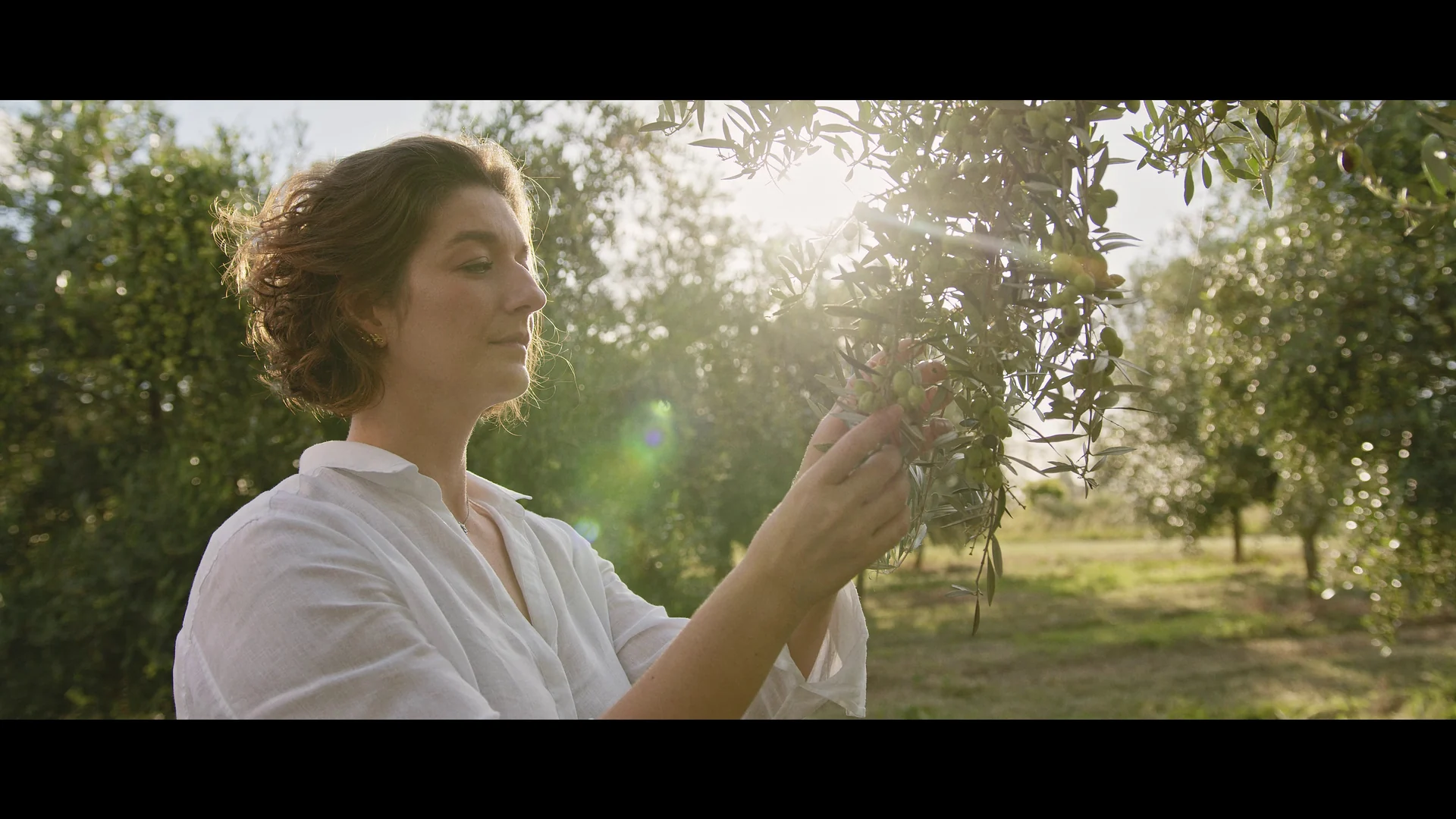 Glenda, de camisa branca, toca os ramos de uma oliveira sob o sol de fim de tarde