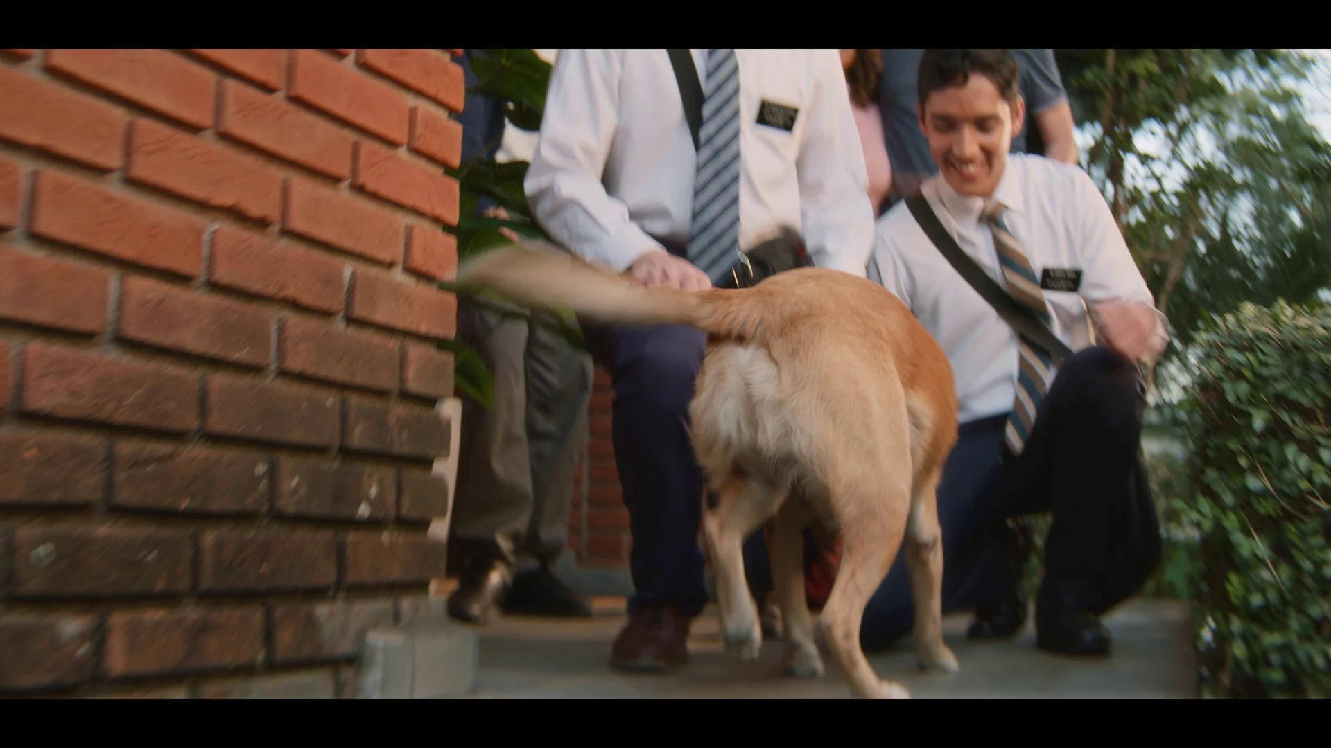 Dois missionários agachados acariciam um cachorro caramelo diante de uma parede de tijolos aparentes.