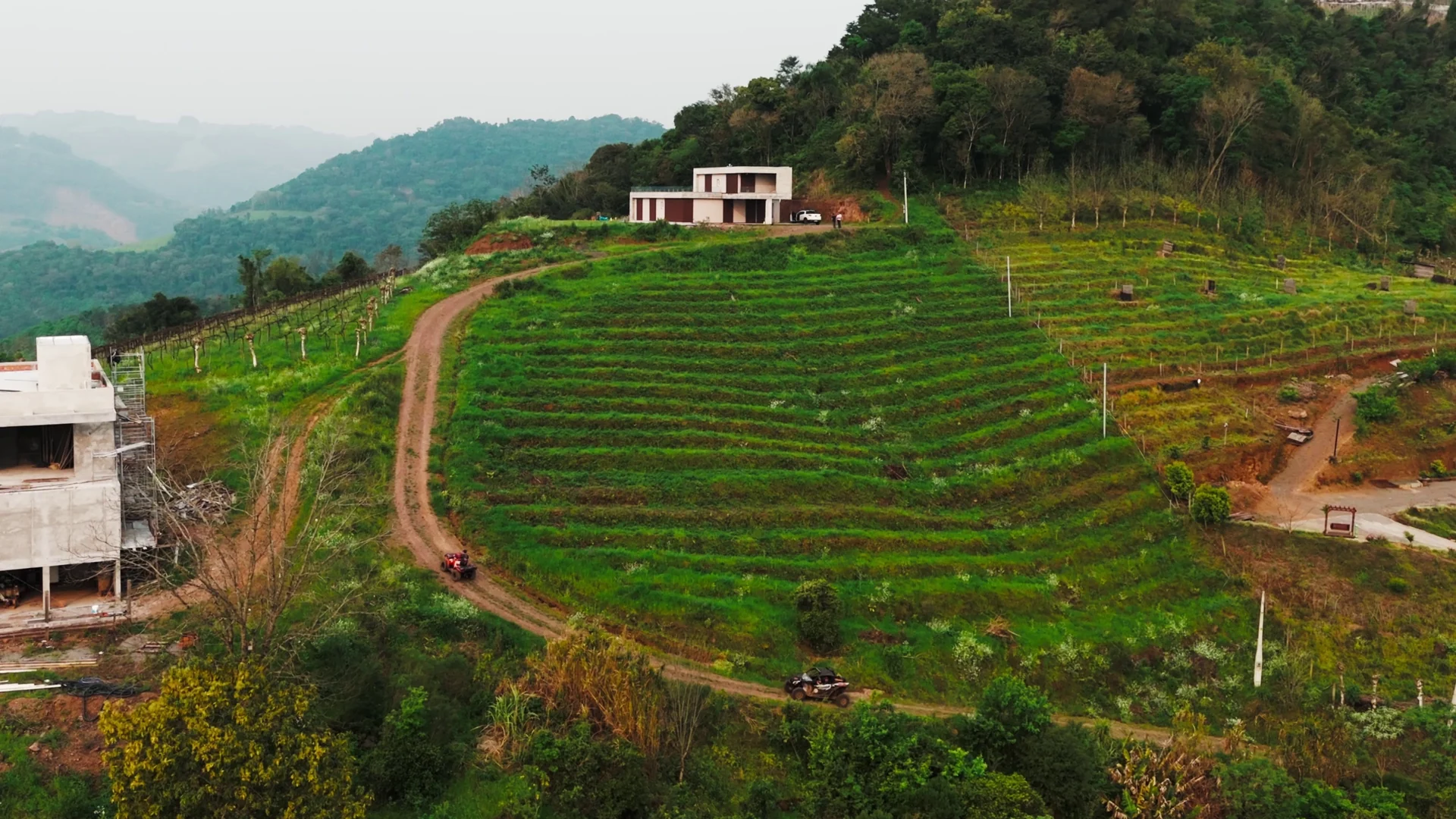 Vista aérea de uma encosta de parreiras em terraços, com estrada de terra e uma casa moderna no alto, entre morros.
