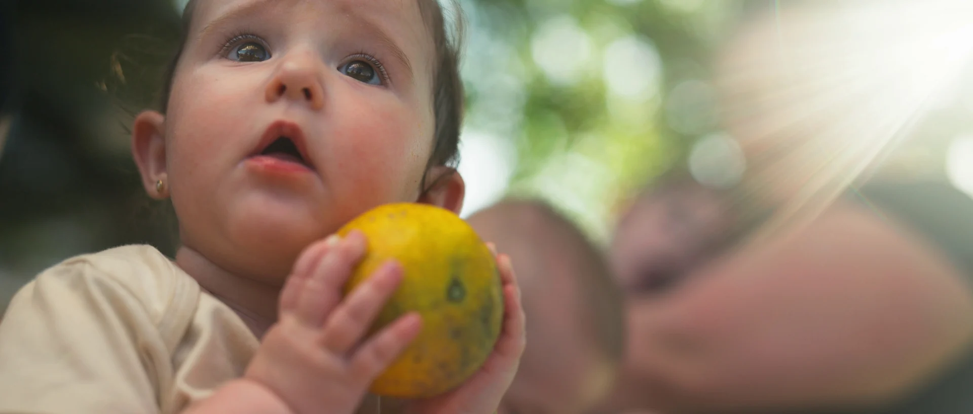 Bebê de olhos arregalados segura uma fruta cítrica com as duas mãos, com a luz do sol atrás.
