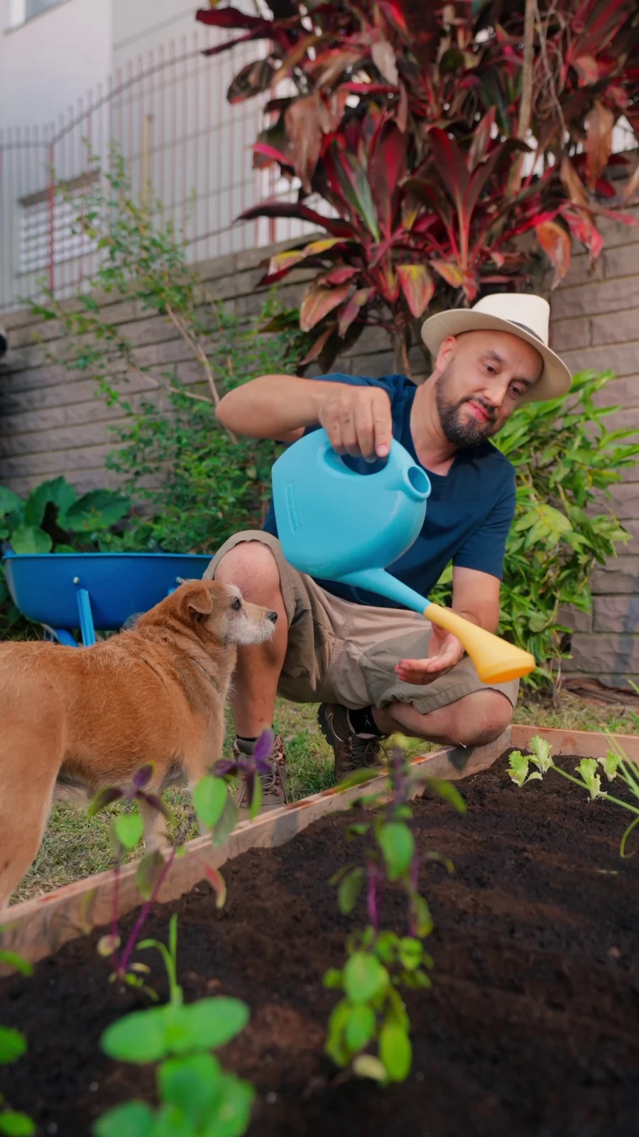 Homem de chapéu rega a horta recém-plantada com um regador, ao lado de um cachorro caramelo.